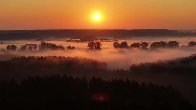 Aerial View of the Misty Dawn: Enchanted Forest Landscape Over the Mazurian