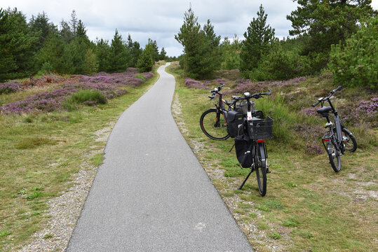 Fahrrad fahren in Heidelandschaft 