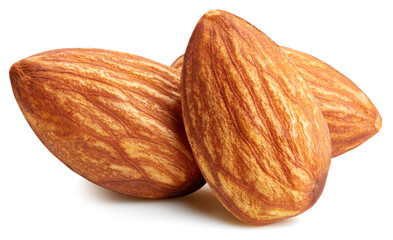 Almond isolated on white background