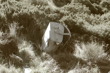 Caixote do lixo ca&iacute;do na vegeta&ccedil;&atilde;o