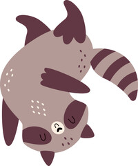 Playing Raccoon Animal