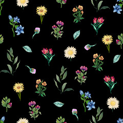 Fototapeta na wymiar Watercolor field flower meadow wild garden greenery illustration painting drawing