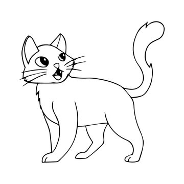 cat line vector illustration