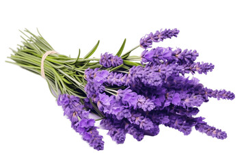 Lavender Bunch Isolated on Transparent Background. Generative Ai.