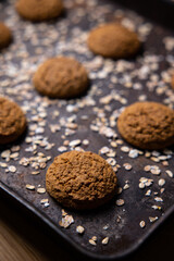 oatmeal cookies on a tray from the oven