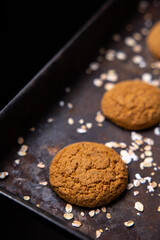 oatmeal cookies on a tray from the oven