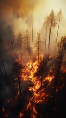 A blazing forest engulfed in flames with towering trees - obrazy, fototapety, plakaty