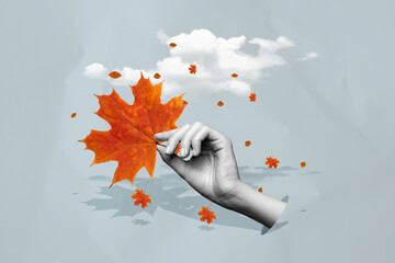 Collage portrait of black white effect arm fingers through hole hold fallen maple leaf clouds sky...