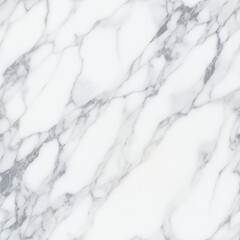 Elegant Gray and White Marble with Veins