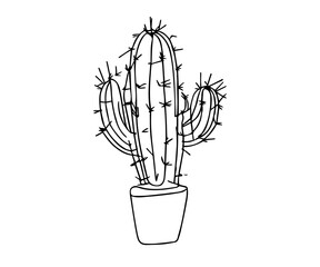 cactus in a pot, cactus vector illustration, cactus plant.