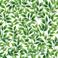 Pattern of green leaves on a white background 