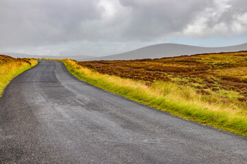 Road, Bogs with mountains in background in Sally gap