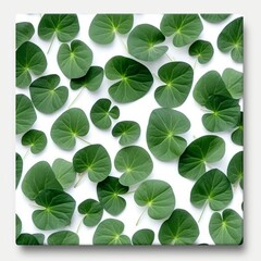 Pattern of green leaves on a white background 