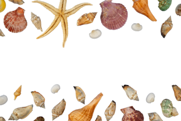 banner frame with flat lay shells copy space