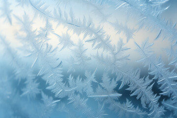 Winter's Frozen Canvas: Nature's Delicate Artistry