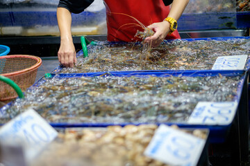 Merchant selecting live shrimp for sell at seafood market Thailand