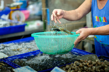 Capturing the Essence: Man Selecting Fresh Shrimp at Chonburi Seafood Market