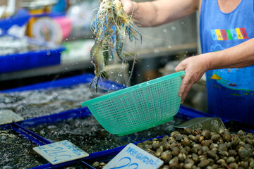 Capturing the Essence: Man Selecting Fresh Shrimp at Chonburi Seafood Market