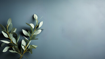 branch with fresh eucalyptus on light background with copy space