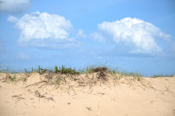 Sand dune with grass and a blue sky with clouds.
