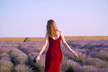 Obraz premium A young woman in a red dress walks through a lavender field. Photo from the back. Concept: freedom, enjoyment of life, youth, divorce, self-sufficiency, self-confidence