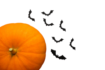 Orange pumpkin and silhouettes of bats on a transparent background with a copy space