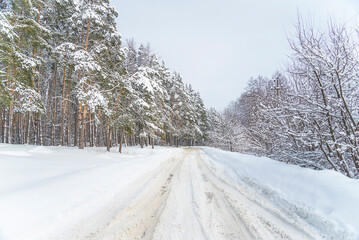 Obraz premium Winter road in the forest on sunny day; snowy trees