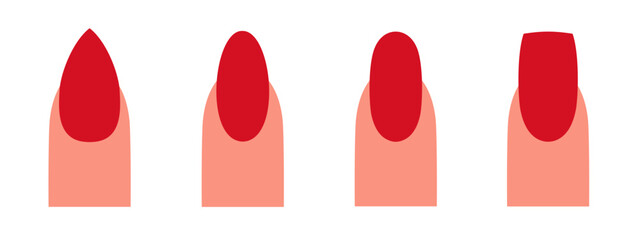 Different kinds of nail shapes. Manicure Guide. Nail manicure. Vector flat illustration