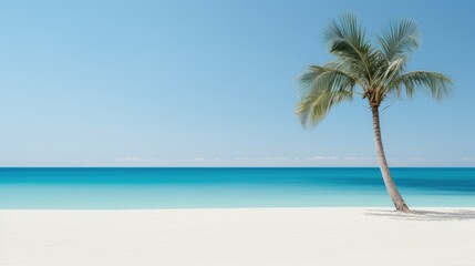 Tranquil beach oasis: Minimalist stock photo capturing serenity with soft sand, crystal-clear water, and a lone swaying palm.