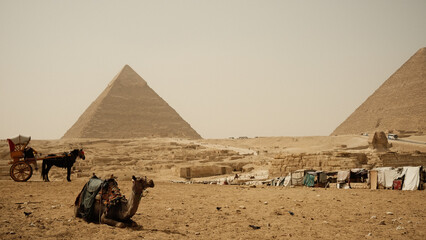 pyramids in giza