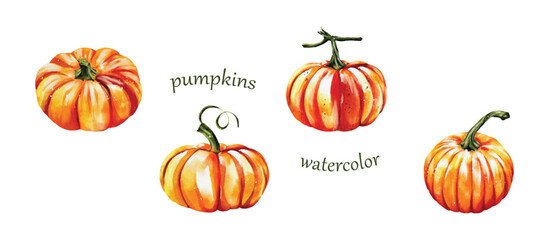 Collection of Pumpkins Watercolor vector illustration design