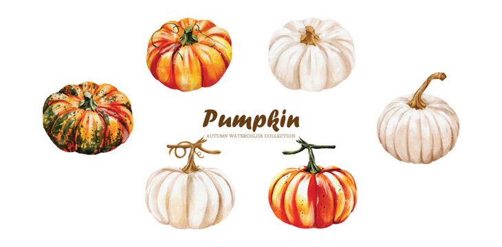 Collection Watercolor of Pumpkins vector design