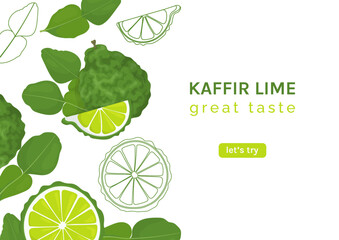 Kaffir lime or bergamot web banner. Horizontal flyer or screen for promotion. - obrazy, fototapety, plakaty