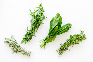Bunches of fresh green basil cumin rosemary for cooking, top view