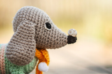 Obraz premium cute photos of the adventure of a toy dachshund dog