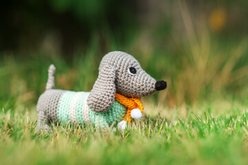 Obraz premium cute photos of the adventure of a toy dachshund dog