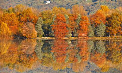 The colors of autumn on Lake Iseo.