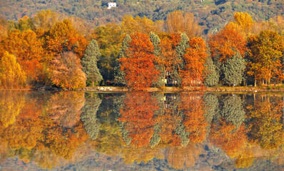 Naklejka premium The colors of autumn on Lake Iseo.