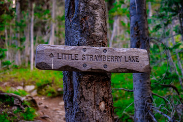 Little Strawberry Lake Hiking Sign