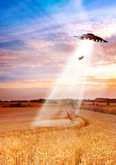 UFO, farm and field with light, alien invasion and research with cow, abduction or transport. UAP...