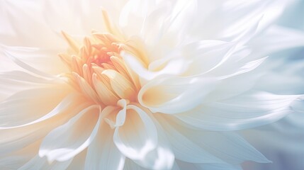  a close up of a white flower with a blurry background.  generative ai