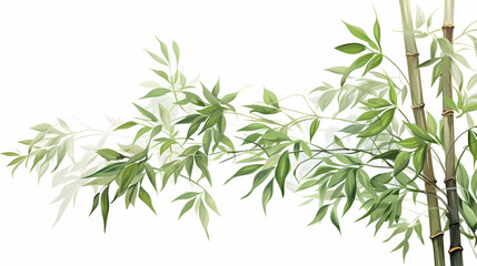 Fototapeta premium hand drawn cartoon bamboo illustration 