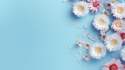  a bunch of white and pink flowers on a blue background.  generative ai