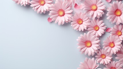  pink daisies on a light blue background with space for text.  generative ai