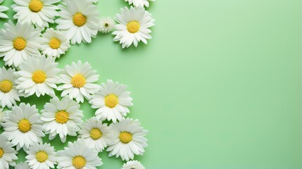  a bunch of daisies on a green background with space for text.  generative ai