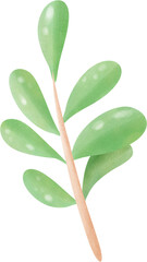 Leaves and branch watercolor