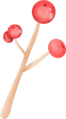 Red Holy berry christmas watercolor
