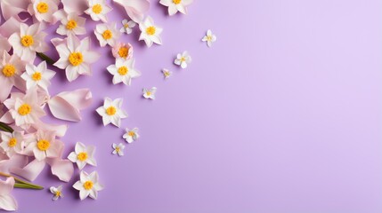  a bunch of white and yellow flowers on a purple background.  generative ai