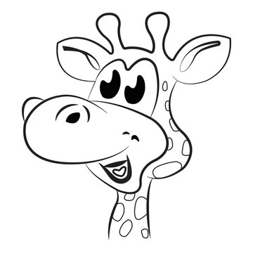 a vector illustration of a cute giraffe in black and white color 
