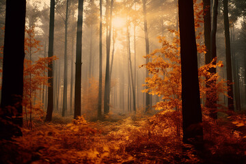 Vibrant autumn trees create a stunning and serene landscape in the forest
